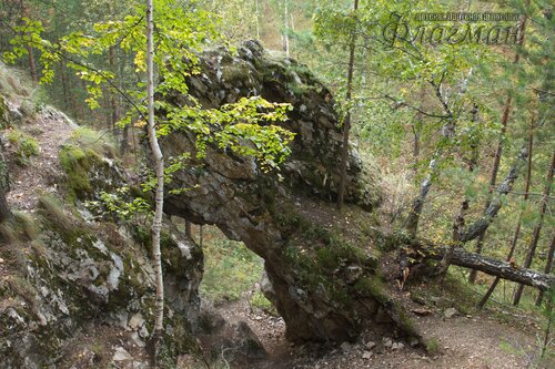 IMG_2703_r